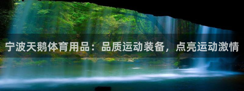 欧陆娱乐平台登录不上去：宁波天鹅体育用品：品质运动装