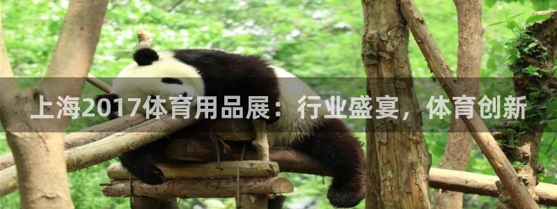 欧陆娱乐官网网址大全：上海2017体育用品展：行业盛