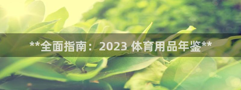 欧陆娱乐注册链接：**全面指南：2023 体育用品年