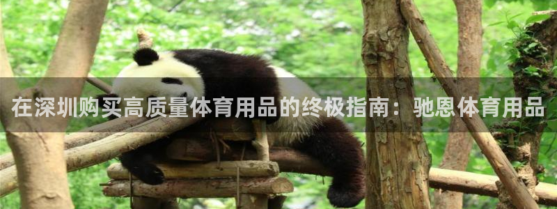 欧陆娱乐总代理是谁：在深圳购买高质量体育用品的终极指