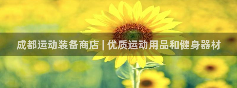 欧陆娱乐app攻略下载：成都运动装备商店 | 优质运