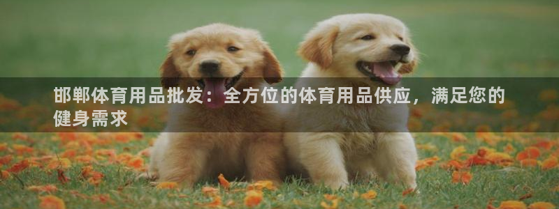欧陆娱乐百科官网：邯郸体育用品批发：全方位的体育用品