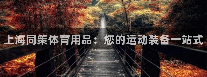 欧陆娱乐官网注册中心：上海同策体育用品：您的运动装备