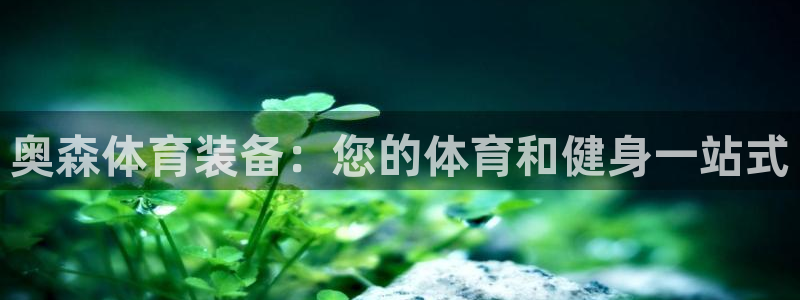 欧陆娱乐是资金盘吗：奥森体育装备：您的体育和健身一站