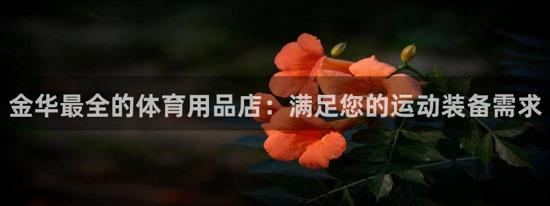 欧陆娱乐挂机项目有哪些：金华最全的体育用品店：满足您