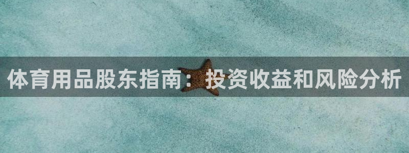 欧陆娱乐官网入口：体育用品股东指南：投资收益和风险分