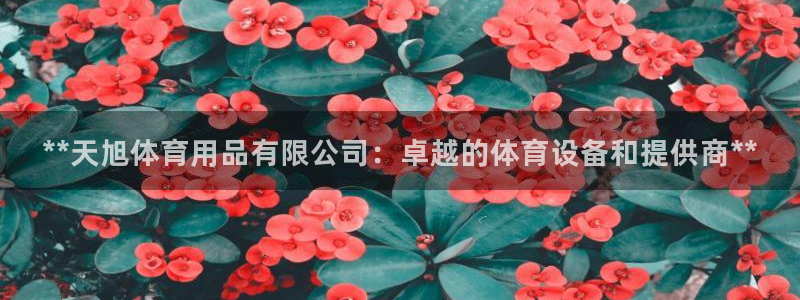欧陆娱乐app下载：**天旭体育用品有限公司：卓越的