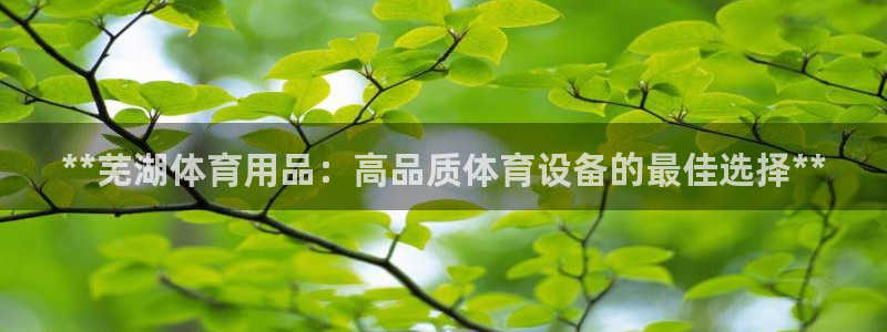 欧陆娱乐百科百度：**芜湖体育用品：高品质体育设备的