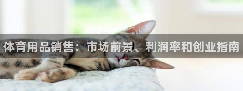 欧陆娱乐是正规平台吗安全吗可信吗是真的吗：体育用品销