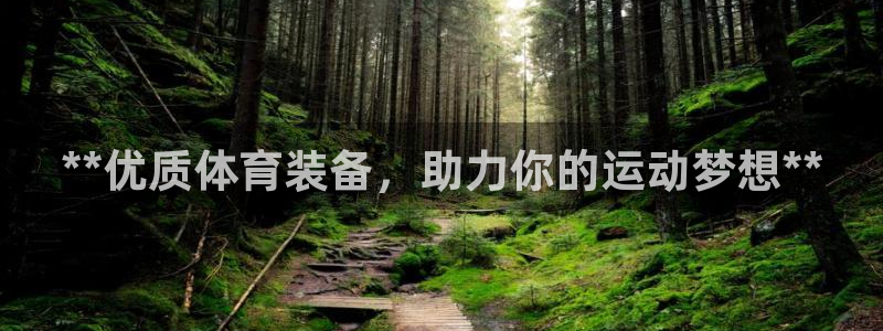 欧陆娱乐平台咋样赚钱：**优质体育装备，助力你的运动