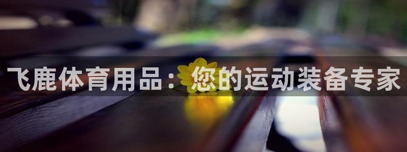 欧陆娱乐官方网站入口：飞鹿体育用品：您的运动装备专家