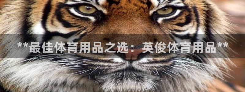 欧陆娱乐平台登录不上怎么办：**最佳体育用品之选：英
