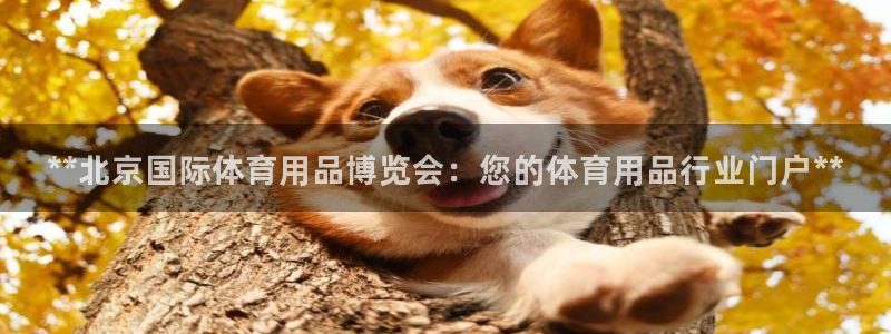 欧陆娱乐登陆官网入口：**北京国际体育用品博览会：您