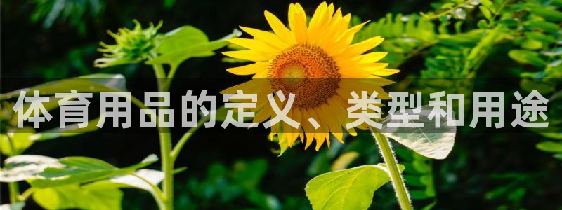 欧陆娱乐是正规平台吗安全吗可信吗知乎：体育用品的定义