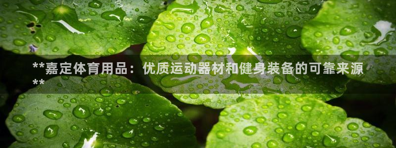 欧陆娱乐官方客服电话：**嘉定体育用品：优质运动器材