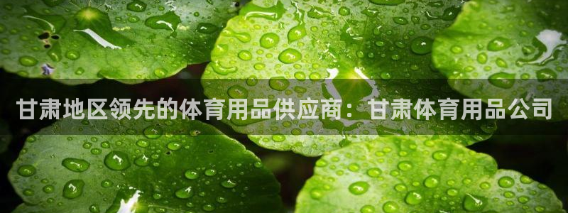 欧陆娱乐试玩官网：甘肃地区领先的体育用品供应商：甘肃