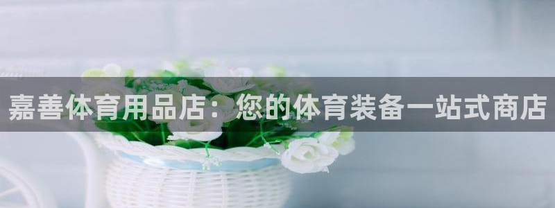 欧陆娱乐注册链接安全吗可靠吗：嘉善体育用品店：您的体