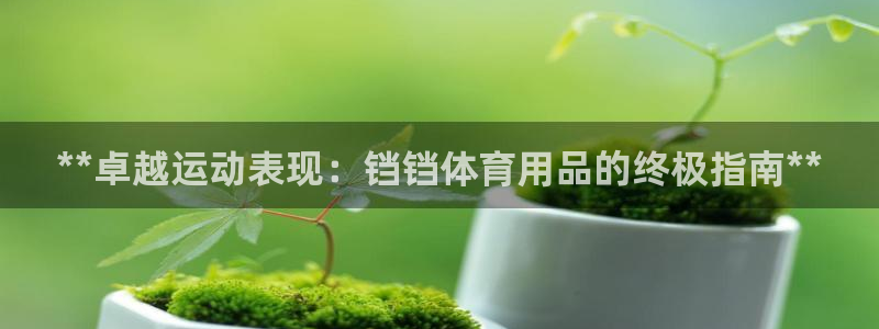 欧陆娱乐登陆官网网址：**卓越运动表现：铛铛体育用品