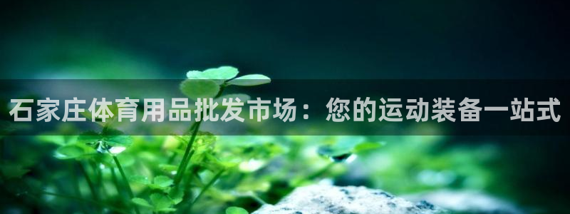欧陆娱乐天富主管：石家庄体育用品批发市场：您的运动装