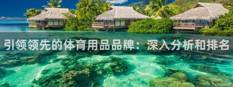 欧陆娱乐总代：引领领先的体育用品品牌：深入分析和排名