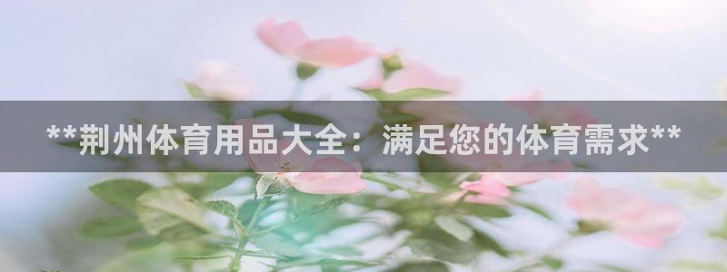 欧陆娱乐打什么方案：**荆州体育用品大全：满足您的体