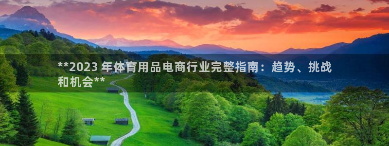 欧陆娱乐是真的假的：**2023 年体育用品电商行业