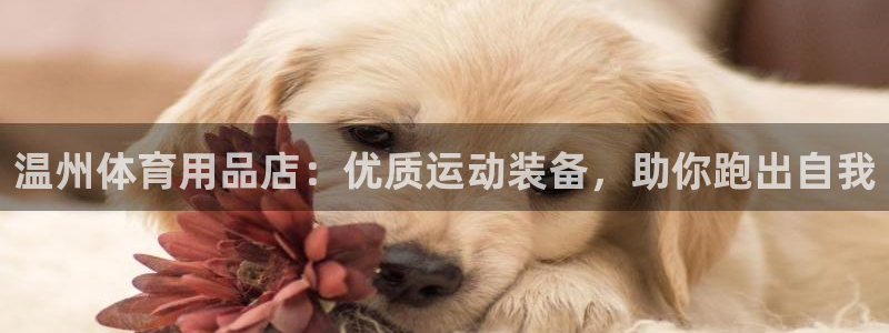 欧陆娱乐总代：温州体育用品店：优质运动装备，助你跑出