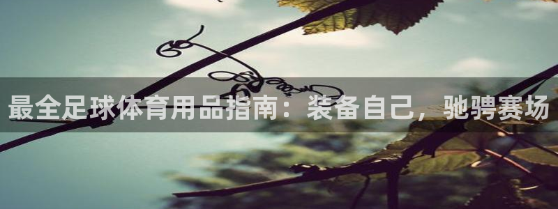 欧陆娱乐平台登陆地址是什么：最全足球体育用品指南：装