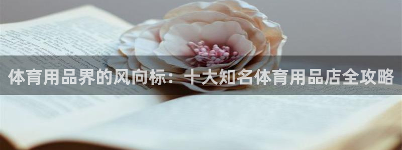 欧陆娱乐官网首页入口：体育用品界的风向标：十大知名体