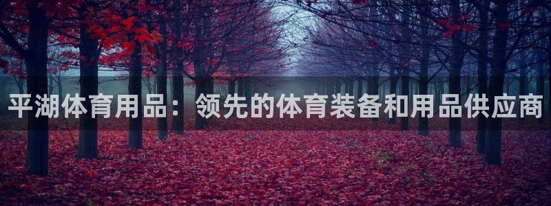 欧陆娱乐是正规平台吗安全吗可靠吗知乎：平湖体育用品：