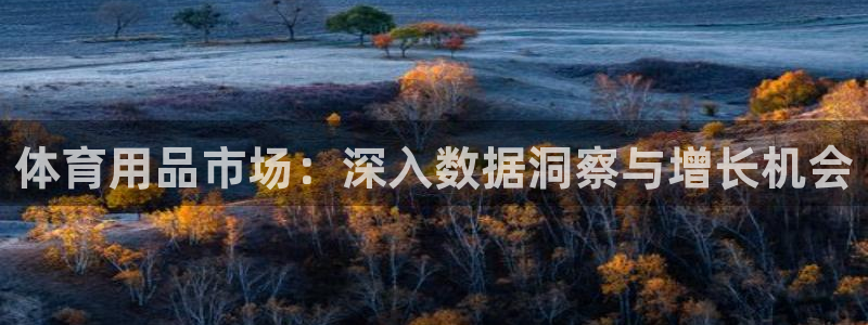欧陆娱乐会员有什么用：体育用品市场：深入数据洞察与增