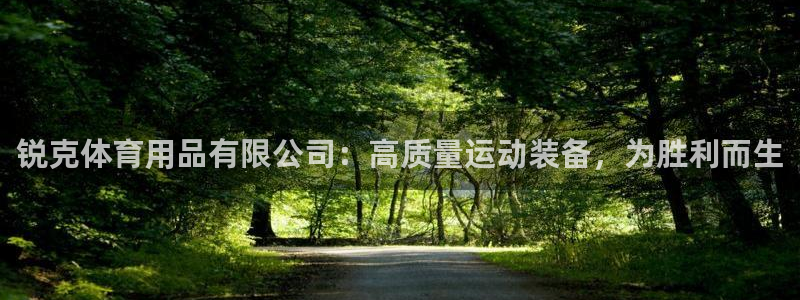 欧陆娱乐平台登陆地址是什么：锐克体育用品有限公司：高