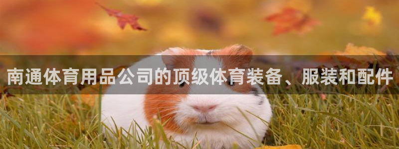 欧陆娱乐官网网址大全：南通体育用品公司的顶级体育装备