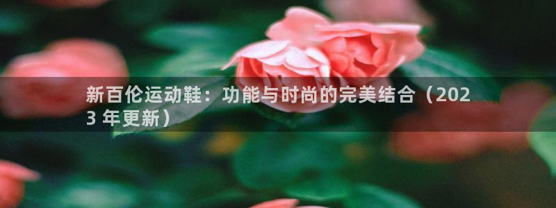 欧陆娱乐登录官网：新百伦运动鞋：功能与时尚的完美结合