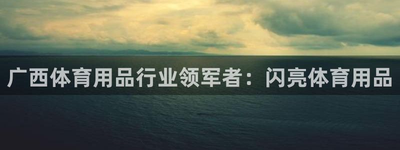 欧陆娱乐提现两百万：广西体育用品行业领军者：闪亮体育