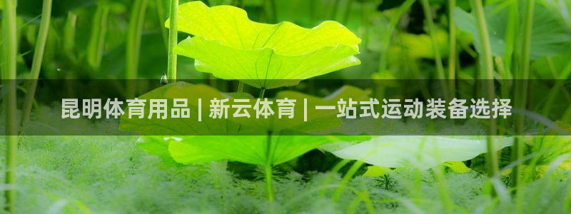 欧陆娱乐总代理：昆明体育用品 | 新云体育 | 一站