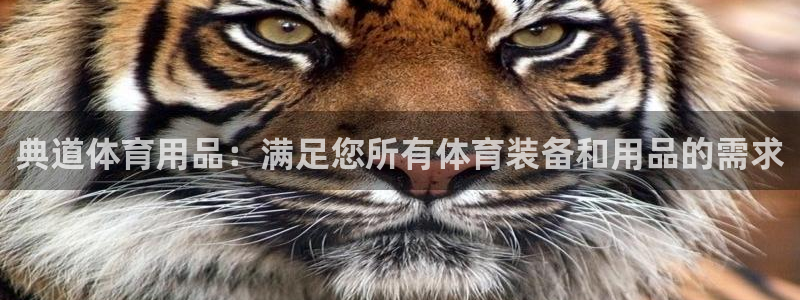 欧陆娱乐能赚钱吗现在：典道体育用品：满足您所有体育装
