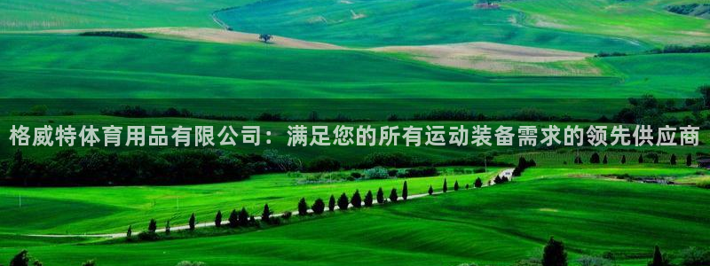 欧陆娱乐官网下载安装最新版：格威特体育用品有限公司：