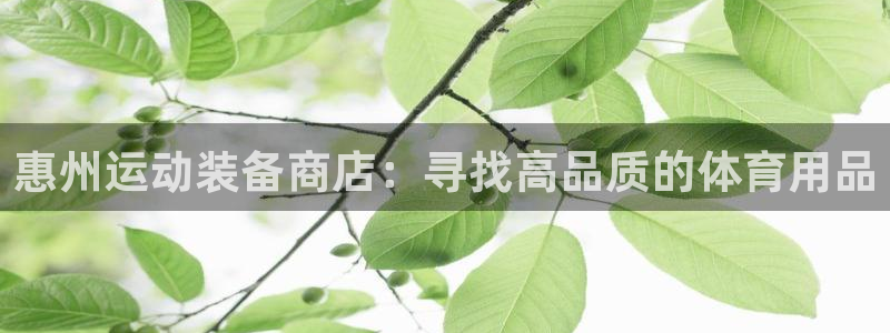 欧陆娱乐会员有什么用：惠州运动装备商店：寻找高品质的