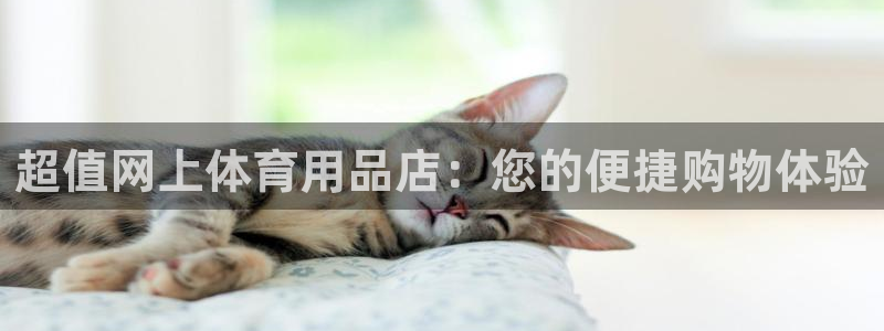 欧陆娱乐官方网站首页：超值网上体育用品店：您的便捷购