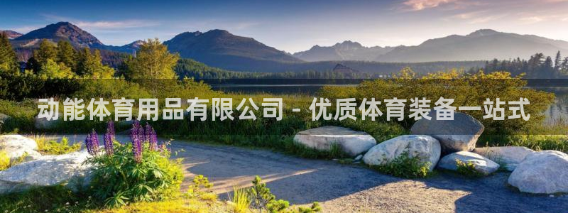 欧陆娱乐官网下载安装苹果：动能体育用品有限公司 - 