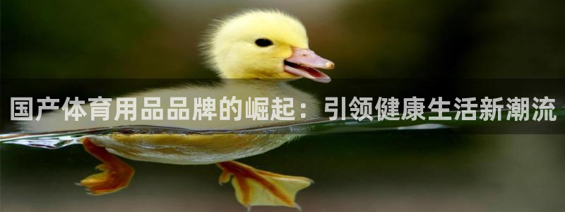 欧陆娱乐平台登录不上去怎么回事：国产体育用品品牌的崛