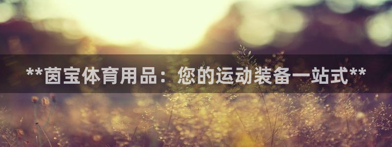 欧陆娱乐登陆平台下载：**茵宝体育用品：您的运动装备