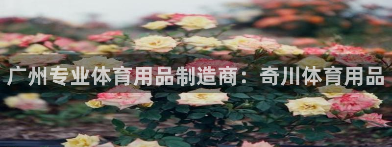 欧陆娱乐请输入USDT地址：广州专业体育用品制造商：