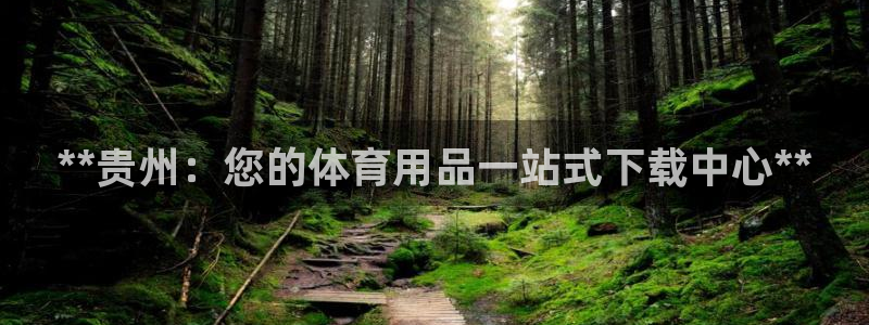 欧陆娱乐登陆官网：**贵州：您的体育用品一站式下载中