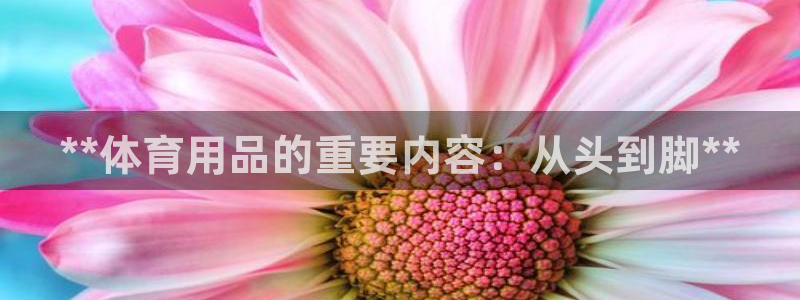 欧陆娱乐平台咋样啊赚钱：**体育用品的重要内容：从头