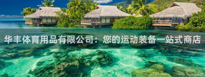 欧陆娱乐官网下载安装最新版苹果：华丰体育用品有限公司