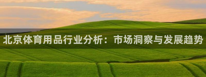 欧陆娱乐登陆官网下载：北京体育用品行业分析：市场洞察
