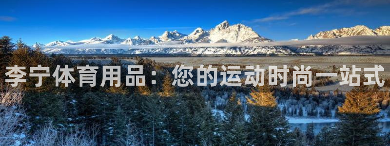 欧陆娱乐会员有什么用：李宁体育用品：您的运动时尚一站