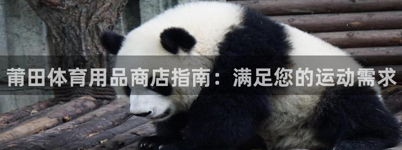 重庆欧陆娱乐有限公司电话：莆田体育用品商店指南：满足